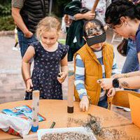 Bildquelle: Timo Jäger | Norder Sommerfest 2025