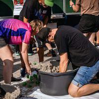 Bildquelle: Timo Jäger | Norder Sommerfest 2025