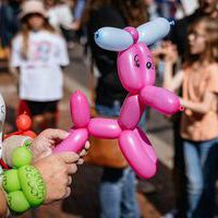 Bildquelle: Timo Jäger | Norder Sommerfest 2025