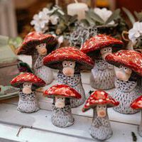 Bildquelle: Timo Jäger | Norder Sommerfest 2025