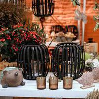 Bildquelle: Timo Jäger | Norder Sommerfest 2025